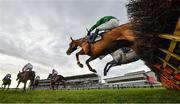 29 December 2019; Runners and riders on their first time round during the Advent Insurance Irish EBF Mares Hurdle during Day Four of the Leopardstown Christmas Festival 2019 at Leopardstown Racecourse in Dublin. Photo by David Fitzgerald/Sportsfile