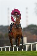 29 December 2019; Battleoverdoyen, with Davy Russell up, on their way to winning the Neville Hotels Novice Steeplechase during Day Four of the Leopardstown Christmas Festival 2019 at Leopardstown Racecourse in Dublin. Photo by Harry Murphy/Sportsfile