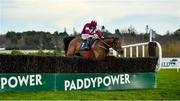 29 December 2019; Battleoverdoyen, with Davy Russell up, clear the last on his way to winning the Neville Hotels Novice Steeplechase during Day Four of the Leopardstown Christmas Festival 2019 at Leopardstown Racecourse in Dublin. Photo by David Fitzgerald/Sportsfile