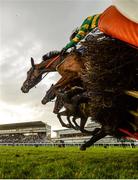 29 December 2019; Runners and riders jump the last during the Irish Stallion Farms EBF Novice Handicap Hurdle on Day Four of the Leopardstown Christmas Festival 2019 at Leopardstown Racecourse in Dublin. Photo by Harry Murphy/Sportsfile