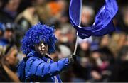 4 January 2020; A Leinster supporter during the Guinness PRO14 Round 10 match between Leinster and Connacht at the RDS Arena in Dublin. Photo by Ramsey Cardy/Sportsfile