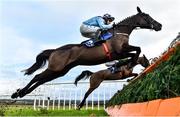 5 January 2020; Good Thyne Tara, with Paul Townend up, jumps the second during the Irish Stallion Farms EBF Mares Beginners Steeplechase at Naas Racecourse in Naas, Co Kildare. Photo by Seb Daly/Sportsfile