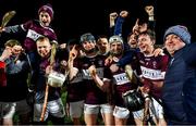 5 January 2020; Borris-Ileigh players celebrate after the AIB GAA Hurling All-Ireland Senior Club Championship semi-final between St Thomas' and Borris-Ileigh at LIT Gaelic Grounds in Limerick. Photo by Piaras Ó Mídheach/Sportsfile