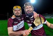 5 January 2020; Borris-Ileigh players Tommy Ryan, left, and Paddy Stapleton celebrate after the AIB GAA Hurling All-Ireland Senior Club Championship semi-final between St Thomas' and Borris-Ileigh at LIT Gaelic Grounds in Limerick. Photo by Piaras Ó Mídheach/Sportsfile