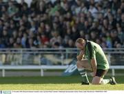 15 November 2003; Bernard Jackman, Connacht. Celtic Cup Semi-Final, Connacht v Edinburgh, Sportsgrounds, Galway. Picture credit; Matt Browne / SPORTSFILE *EDI*