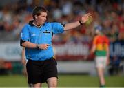 26 June 2013; Referee Gavin Quilty. Bord Gáis Energy Leinster GAA Hurling Under 21 Championship Semi-Final, Wexford v Carlow, Dr. Cullen Park, Carlow. Picture credit: Brian Lawless / SPORTSFILE