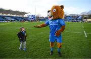 12 January 2020; Leo The Lion with Luca Sexton following the Heineken Champions Cup Pool 1 Round 5 match between Leinster and Lyon at the RDS Arena in Dublin. Photo by Ramsey Cardy/Sportsfile