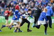 12 January 2020; Action from the Bank of Ireland Half-Time Minis between St Mary's RFC and Old Belvedere RFC at the Heineken Champions Cup Pool 1 Round 5 match between Leinster and Lyon at the RDS Arena in Dublin. Photo by Ramsey Cardy/Sportsfile