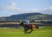 15 January 2020; Benefit North, with Bryan Cooper up, during the Ladbrokes Daily Odds Boosts Handicap Hurdle at Punchestown Racecourse in Kildare. Photo by Harry Murphy/Sportsfile