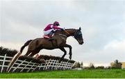 15 January 2020; Jaunty Warrior, with Kevin Brogan up, jumps the ninth during the Ladbrokes Daily Odds Boosts Handicap Hurdle at Punchestown Racecourse in Kildare. Photo by Harry Murphy/Sportsfile