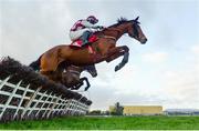 15 January 2020; Toushan, with Phillip Enright up, jumps the first during the Ladbrokes Daily Odds Boosts Handicap Hurdle at Punchestown Racecourse in Kildare. Photo by Harry Murphy/Sportsfile