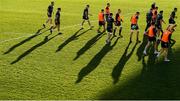 17 January 2020; A general view during the Leinster Rugby captain's run at Stadio Comunale di Monigo in Treviso, Italy. Photo by Ramsey Cardy/Sportsfile