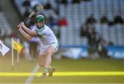 19 January 2020; Evan Shefflin of Ballyhale Shamrocks takes a sideline cut during the AIB GAA Hurling All-Ireland Senior Club Championship Final between Ballyhale Shamrocks and Borris-Ileigh at Croke Park in Dublin. Photo by Piaras Ó Mídheach/Sportsfile