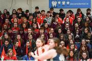 20 January 2020; Abbey Vocational School supporters look on during the Basketball Ireland U16 B Girls Schools Cup Final between Abbey Vocational School and Coláiste Mhuire, Crosshaven at the National Basketball Arena in Tallaght, Dublin. Photo by Harry Murphy/Sportsfile