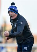 26 January 2020; Waterford manager Liam Cahill celebrates a late score during the Allianz Hurling League Division 1 Group A Round 1 match between Waterford and Cork at Walsh Park in Waterford. Photo by David Fitzgerald/Sportsfile