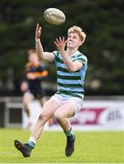 30 January 2020; Craig Kenny of St Gerard’s School during the Bank of Ireland Leinster Schools Senior Cup First Round match between St Gerard’s School and Kings Hospital at Templeville Road in Dublin. Photo by Matt Browne/Sportsfile