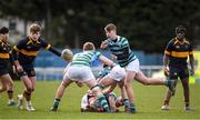 30 January 2020; Saul Fitzpatrick of St Gerard’s School during the Bank of Ireland Leinster Schools Senior Cup First Round match between St Gerard’s School and Kings Hospital at Templeville Road in Dublin. Photo by Matt Browne/Sportsfile
