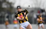 2 February 2020; Richie Hogan of Kilkenny scores a point during the Allianz Hurling League Division 1 Group B Round 2 match between Carlow and Kilkenny at Netwatch Cullen Park in Carlow. Photo by David Fitzgerald/Sportsfile