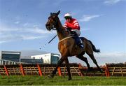2 February 2020; Mt Leinster, with Paul Townend up, jumps the last during the Chanelle Pharma Novice Hurdle on Day Two of the Dublin Racing Festival at Leopardstown Racecourse in Dublin. Photo by Harry Murphy/Sportsfile