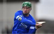 2 February 2020; Billy Nolan of Waterford during the Allianz Hurling League Division 1 Group A Round 2 match between Westmeath and Waterford at TEG Cusack Park in Mullingar, Westmeath. Photo by Piaras Ó Mídheach/Sportsfile