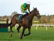 2 February 2020; Anibale Fly, with Barry Geraghty up, during the Paddy Power Irish Gold Cup on Day Two of the Dublin Racing Festival at Leopardstown Racecourse in Dublin. Photo by Harry Murphy/Sportsfile