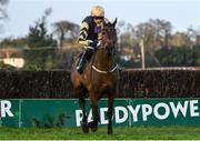 2 February 2020; Bellshill, with Paddy Mullins up, during the Paddy Power Irish Gold Cup on Day Two of the Dublin Racing Festival at Leopardstown Racecourse in Dublin. Photo by Harry Murphy/Sportsfile