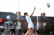 4 February 2020; Callum Fleming of Presentation College, Bray takes the ball in the lineout during the Bank of Ireland Leinster Schools Junior Cup First Round match between Cistercian College, Roscrea and Presentation College, Bray at Energia Park in Dublin. Photo by Matt Browne/Sportsfile