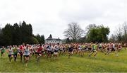 8 February 2020; The competitors at the start of the Masters Men Cross Country during the Irish Life Health National Intermediate, Master, Juvenile B & Relays Cross Country at Avondale in Rathdrum, Co Wicklow. Photo by Matt Browne/Sportsfile