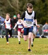 8 February 2020; Dylan Ryan of Donboyne AC, Meath, leads his team home to win the under-14 boys relay during the Irish Life Health National Intermediate, Master, Juvenile B & Relays Cross Country at Avondale in Rathdrum, Co Wicklow. Photo by Matt Browne/Sportsfile