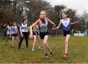 8 February 2020; Aisling Clare of Ratoath AC, Meath, left, takes the baton from team-mate Lucy Mooney during the Irish Life Health National Intermediate, Master, Juvenile B & Relays Cross Country at Avondale in Rathdrum, Co Wicklow. Photo by Matt Browne/Sportsfile