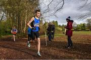 8 February 2020; Cian Gorham of Dromiskin AC, Louth, on his way to winning the boys under-15 Cross Country during the Irish Life Health National Intermediate, Master, Juvenile B & Relays Cross Country at Avondale in Rathdrum, Co Wicklow. Photo by Matt Browne/Sportsfile