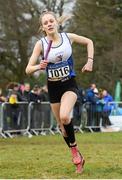 8 February 2020; Caoimhe Fitzsimons of Ratoath AC, Meath, celebrates after leading her team home to winning the girls under-14 relay during the Irish Life Health National Intermediate, Master, Juvenile B & Relays Cross Country at Avondale in Rathdrum, Co Wicklow. Photo by Matt Browne/Sportsfile