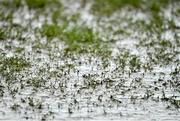 9 February 2020; A general view of the pitch prior to the Allianz Football League Division 1 Round 3 match between Meath and Mayo at Páirc Tailteann in Navan, Meath. Photo by Seb Daly/Sportsfile