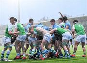 11 February 2020; St Michaels College players celebrate their side's third try during the Bank of Ireland Leinster Schools Senior Cup Second Round match between Gonzaga College and St Michaels College at Energia Park in Dublin. Photo by Ramsey Cardy/Sportsfile