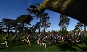 12 February 2020; A general view of runners competing in the Junior Girls race during the Irish Life Health Leinster Schools’ Cross Country Championships 2020 at Santry Demesne in Dublin. Photo by David Fitzgerald/Sportsfile