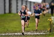 13 February 2020; Emily Brenner of St Marys Midleton, Cork, competing in the minor girls 2000m race during the Irish Life Health Munster Schools' Cross Country Championships 2020 at Clarecastle in Clare. Photo by Eóin Noonan/Sportsfile