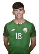 14 February 2018; Conor Grant during a Republic of Ireland U17's Portrait Session at the Connaught Hotel in Galway. Photo by Seb Daly/Sportsfile