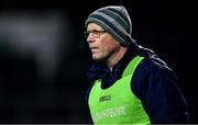 11 January 2020; Limerick manager Billy Lee during the McGrath Cup Final match between Cork and Limerick at LIT Gaelic Grounds in Limerick. Photo by Piaras Ó Mídheach/Sportsfile
