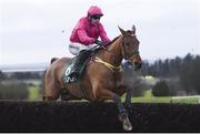 16 February 2020; Minella Fair, with Denis O'Regan up, during the Ten Up Novice Steeplechase at Navan Racecourse in Navan, Meath. Photo by Harry Murphy/Sportsfile