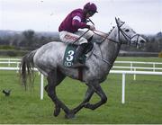 16 February 2020; Elwood, with Davy Russell up, during the Ten Up Novice Steeplechase at Navan Racecourse in Navan, Meath. Photo by Harry Murphy/Sportsfile