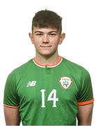 12 April 2018; Darryl Walsh during a Republic of Ireland U18 Schools squad portraits session at Home Farm FC in Whitehall, Dublin. Photo by David Fitzgerald/Sportsfile