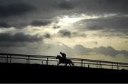 18 February 2020; Abacadabras, with Mark Foley up, gallop during a visit to Gordon Elliott's yard in Longwood, Co. Meath. Photo by Harry Murphy/Sportsfile