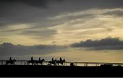 18 February 2020; A general view of horses and jockeys on the gallops during a visit to Gordon Elliott's yard in Longwood, Co. Meath. Photo by Harry Murphy/Sportsfile