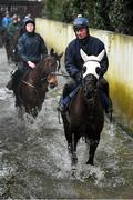 18 February 2020; Coeur Sublime, with Kevin Brogan up, during a visit to Gordon Elliott's yard in Longwood, Co. Meath. Photo by Harry Murphy/Sportsfile