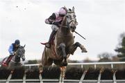 18 February 2020; Lord Royal, with Paul Townend up, who finished second, jumps the last during the Surehaul Mercedes-Benz Novice Hurdle at Punchestown Racecourse in Kildare. Photo by Harry Murphy/Sportsfile