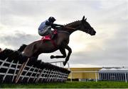 18 February 2020; Pencilfulloflead, with Robbie Power up, jumps the last, on their way to winning the Leinster Leader Maiden Hurdle at Punchestown Racecourse in Kildare. Photo by Harry Murphy/Sportsfile