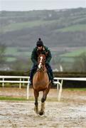 19 February 2020; John Codd on Faugheen during a Willie Mullins Yard visit at Closutton in Bagenalstown, Co Carlow. Photo by Harry Murphy/Sportsfile