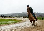19 February 2020; John Codd on Faugheen during a Willie Mullins Yard visit at Closutton in Bagenalstown, Co Carlow. Photo by Harry Murphy/Sportsfile