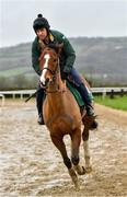 19 February 2020; John Codd on Faugheen during a Willie Mullins Yard visit at Closutton in Bagenalstown, Co Carlow. Photo by Harry Murphy/Sportsfile