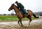 19 February 2020; John Codd on Faugheen during a Willie Mullins Yard visit at Closutton in Bagenalstown, Co Carlow. Photo by Harry Murphy/Sportsfile